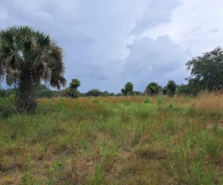 Chandler Slough West Campsite