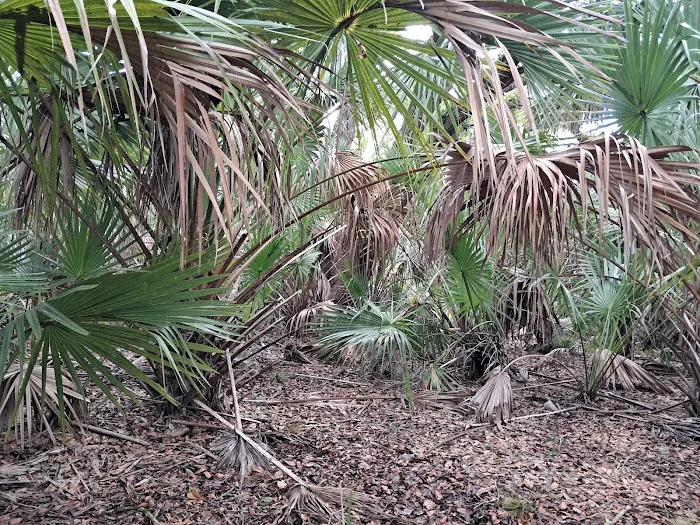 Chandler Slough West Campsite Picture 9