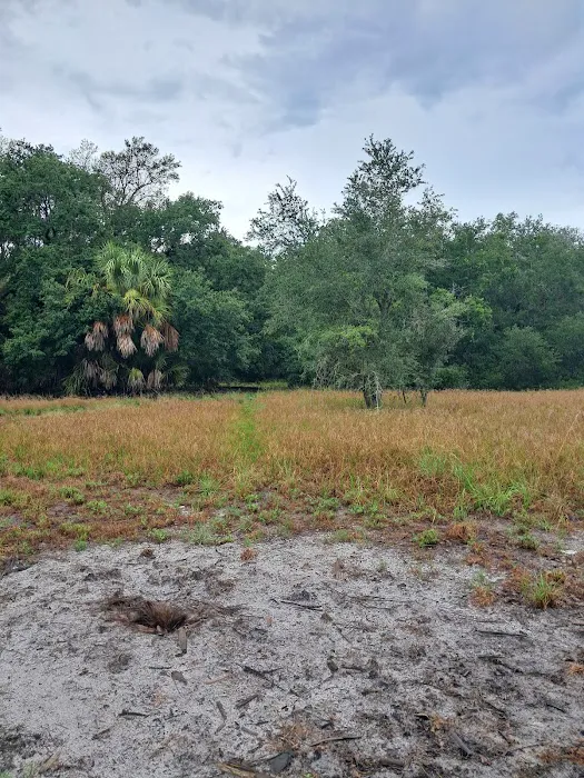 Chandler Slough West Campsite Picture 2