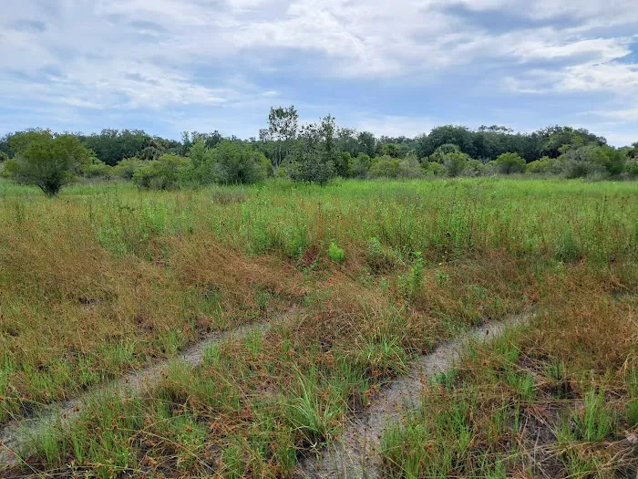 Chandler Slough West Campsite Picture 6