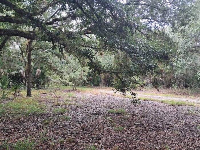 Chandler Slough West Campsite Picture 4
