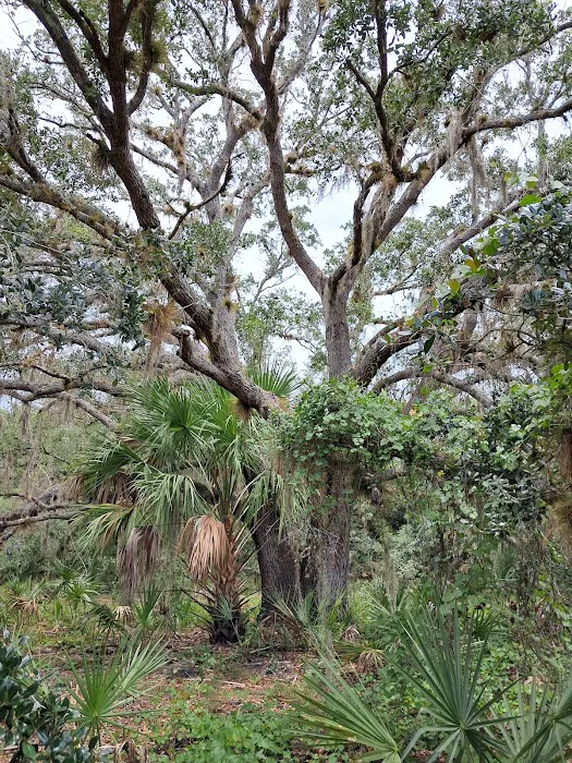 Chandler Slough West Campsite Picture 8