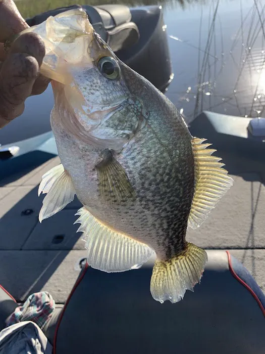 Lake Place R V Park Picture 10