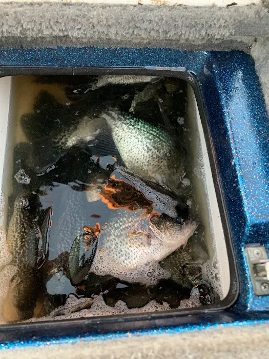 Lake Place R V Park Picture 8