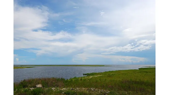 Okeechobee KOA Resort Picture 6