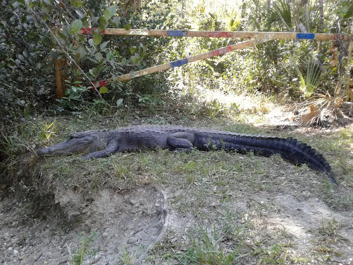 DuPuis Family Campground Picture 9