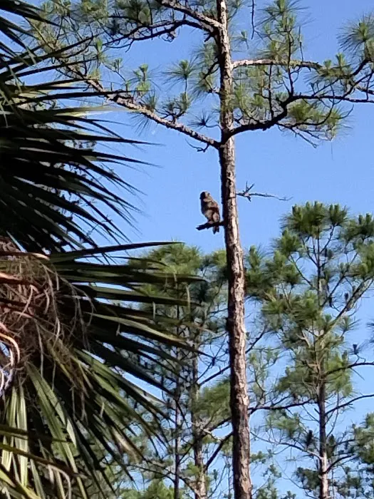 DuPuis Family Campground Picture 1
