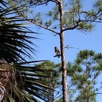 DuPuis Family Campground ico