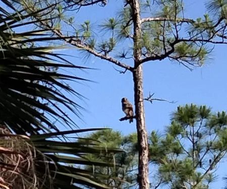 DuPuis Family Campground