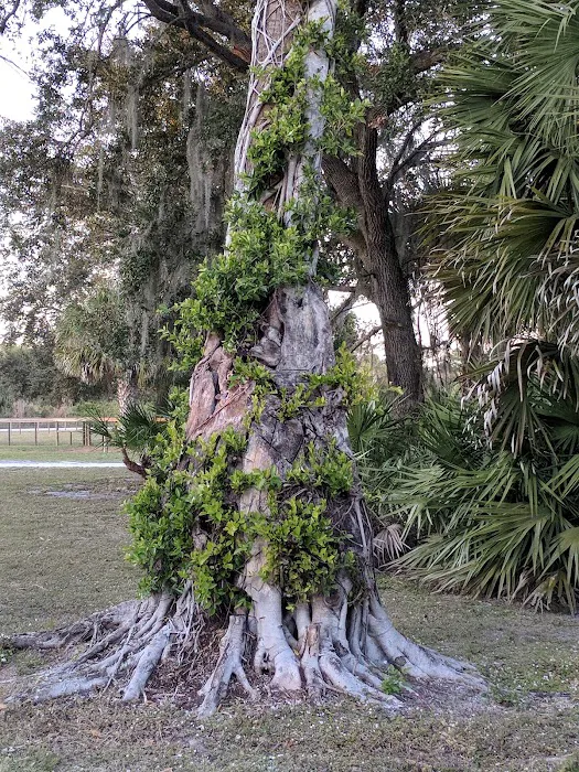 Dupuis Campground Picture 6