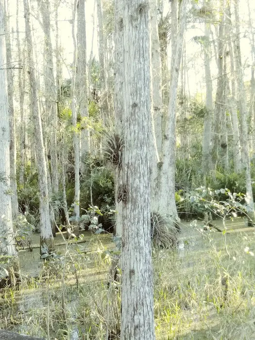 Dupuis Group Campground. 22500 SW Kanner HWY Picture 8