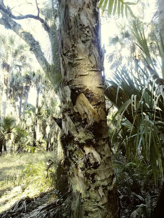 Dupuis Group Campground. 22500 SW Kanner HWY Picture 9