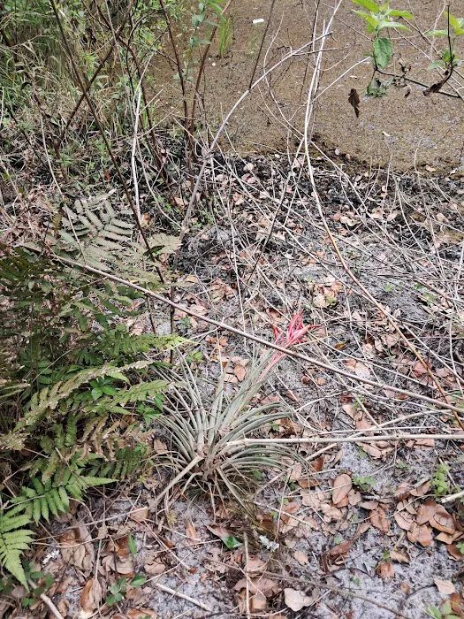 Dupuis Group Campground. 22500 SW Kanner HWY Picture 5