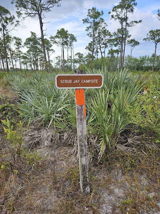 Scrub Jay Campsite Picture 5