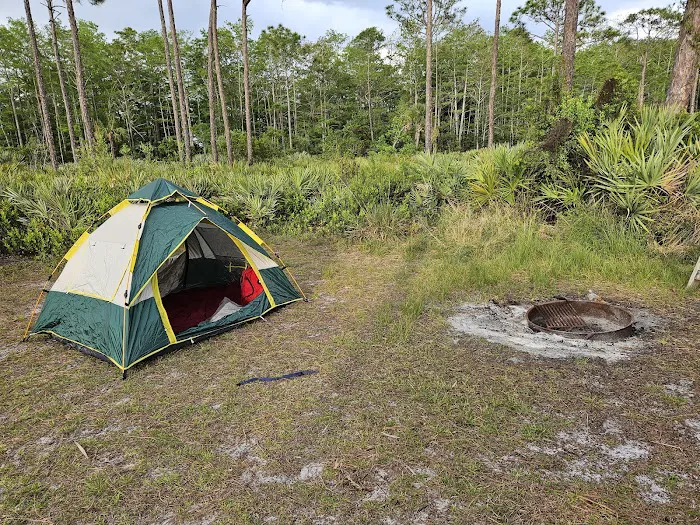 Scrub Jay Campsite Picture 6