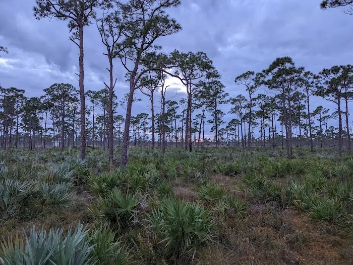 Scrub Jay Campsite Picture 2