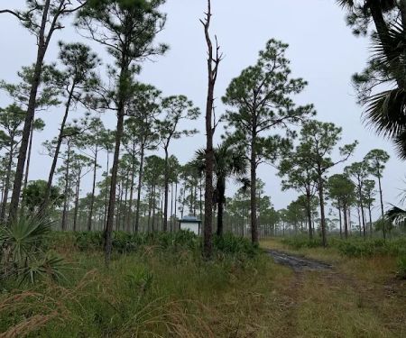 Kitching Creek Campground