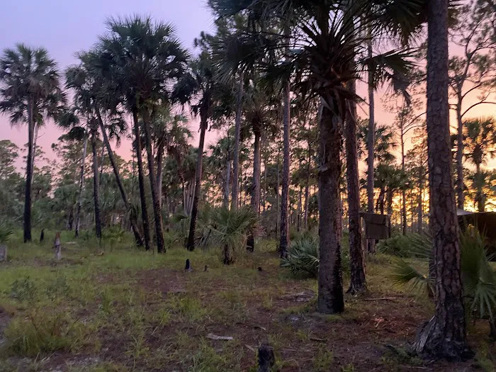 Kitching Creek Campground Picture 7