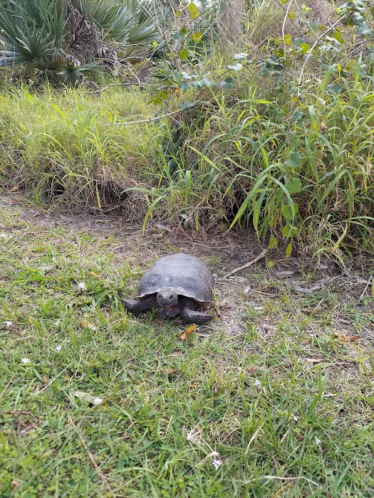 Jonathan Dickinson State Park River Campground Picture 3