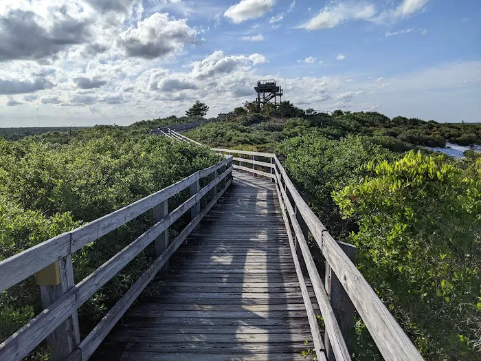 Jonathan Dickinson State Park River Campground Picture 8