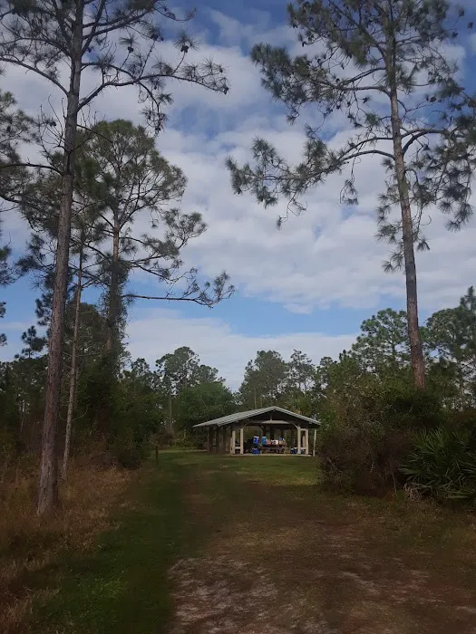 Mohawk Campsite Picture 3