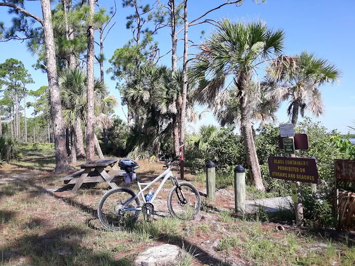 River Campsite Picture 3