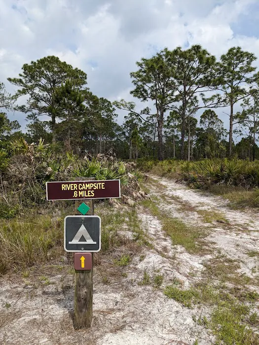 River Campsite Picture 9