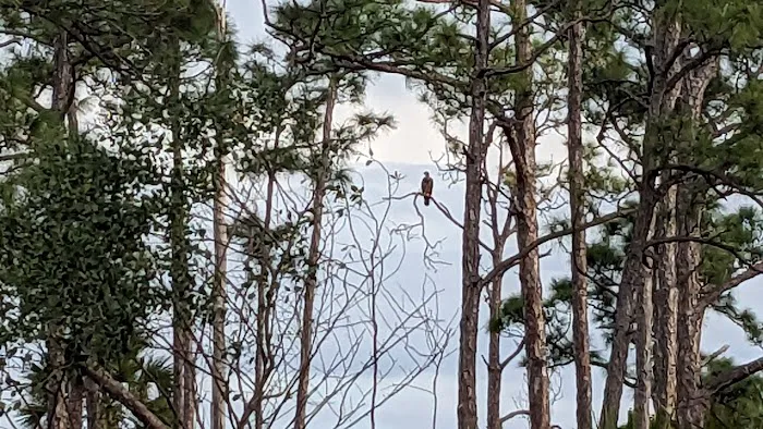 River Campsite Picture 8