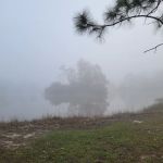 Price-Sanders Scout Reservation