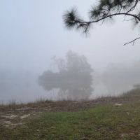 Price-Sanders Scout Reservation ico