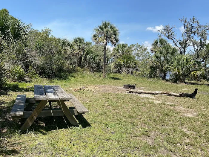 Myakka State Forest - Mangrove Campsite Picture 1