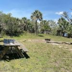 Myakka State Forest - Mangrove Campsite