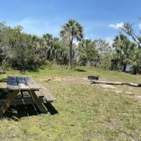 Myakka State Forest - Mangrove Campsite ico