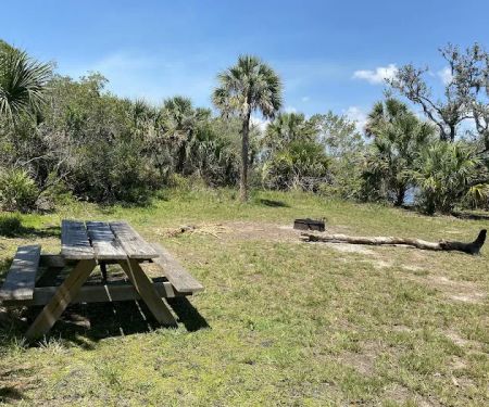 Myakka State Forest - Mangrove Campsite