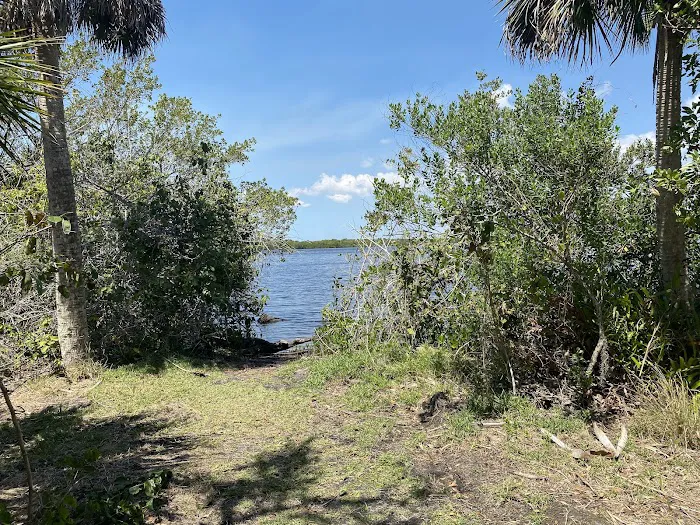 Myakka State Forest - Mangrove Campsite Picture 5
