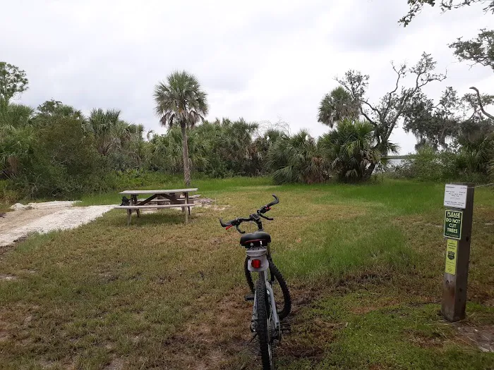 Myakka State Forest - Mangrove Campsite Picture 6