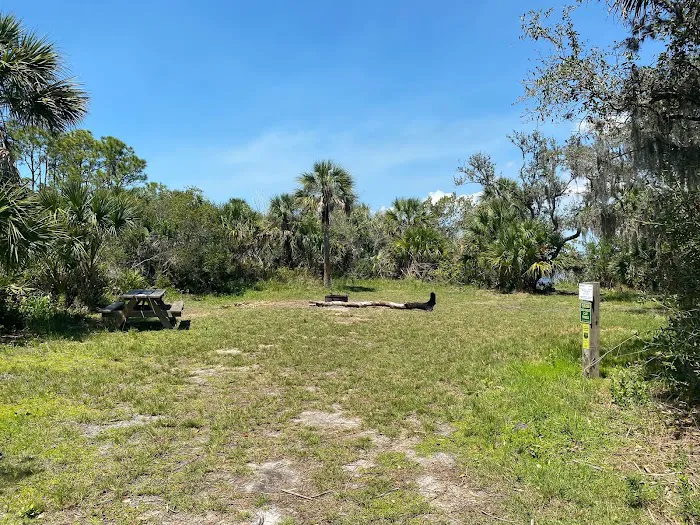 Myakka State Forest - Mangrove Campsite Picture 2