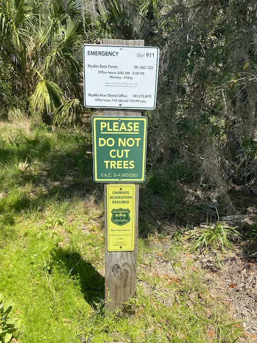 Myakka State Forest - Mangrove Campsite Picture 3