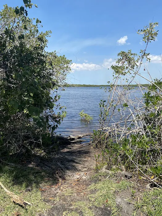Myakka State Forest - Mangrove Campsite Picture 4