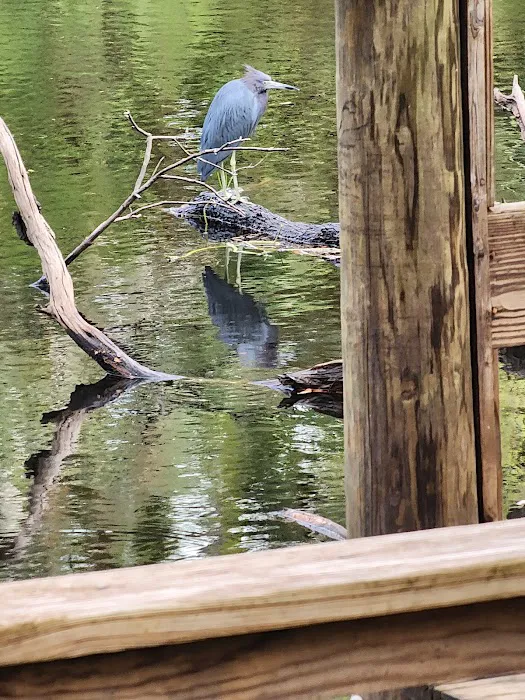 Camp Venice Picture 2