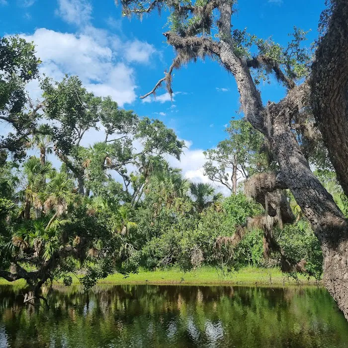 Camp Venice Picture 5