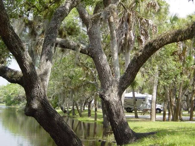 Camp Venice Picture 8