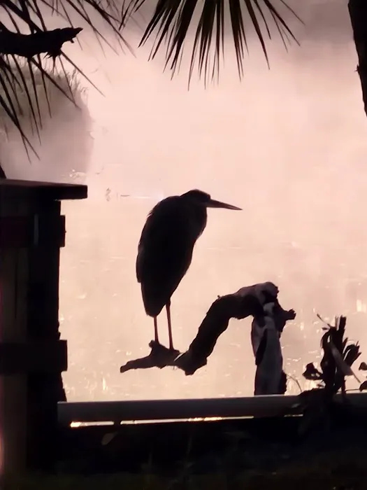 Camp Venice Picture 10