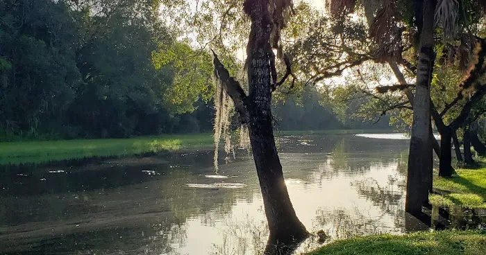 Camp Venice Picture 6