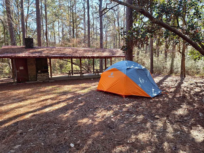 Scoutshire Woods Picture 2