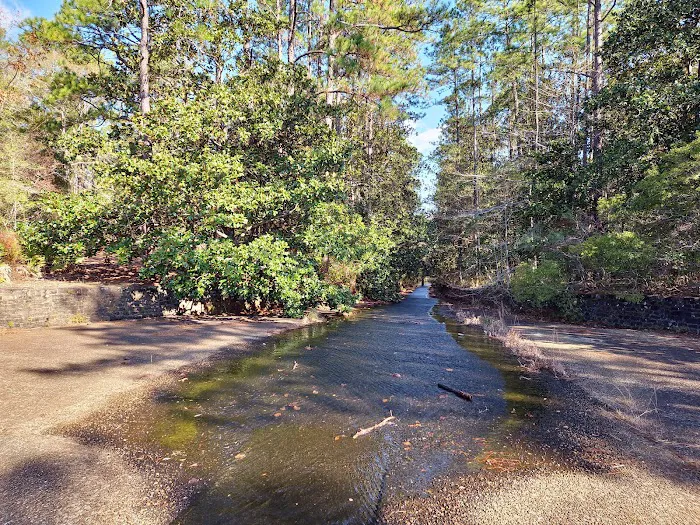 Scoutshire Woods Picture 6