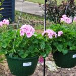 Big site McIntosh RV Park