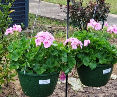 Big site McIntosh RV Park