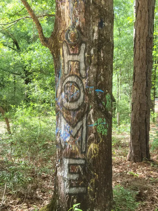 Rainbow Cove Camp Site Picture 1