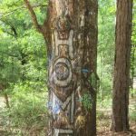 Rainbow Cove Camp Site